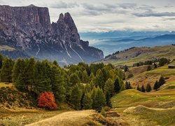 Widok na górę Schlern w Dolomitach