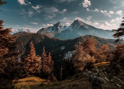 Niemcy, Bawaria, Park Narodowy Berchtesgaden, Góry, Alpy Berchtesgadeńskie, Góra Watzmann, Drzewa, Lasy
