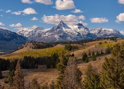 Góry, Absaroka Range, Szczyty, Drzewa, Wzgórza, Wyoming, Stany Zjednoczone
