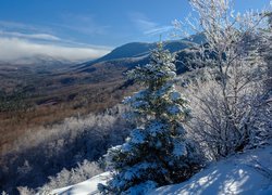 Stany Zjednoczone, Stan New Hampshire, Góry Appalachy, Góry Białe, Zima, Wzgórza, Drzewa, Śnieg, Niebo