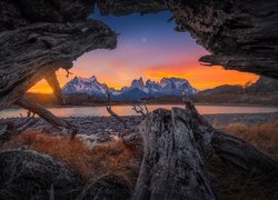 Widok na góry Cordillera del Paine