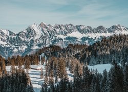 Widok na góry i zaśnieżoną leśną polane