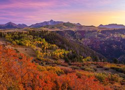 Stany Zjednoczone, Stan Kolorado, Telluride, Las, Jesień, Góry, San Juan Mountains, Roślinność, Kolorowe, Drzewa, Krzewy