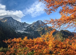 Jesień, Drzewa, Góry