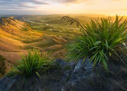 Widok na góry Te Mata Peak w regionie Hawkes Bay w Nowej Zelandii