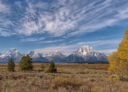 Park Narodowy Grand Teton, Góry, Teton Range, Drzewa, Stan Wyoming, Stany Zjednoczone