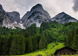 Austria, Miejscowość Gosau, Góry Dachstein, Las, Drewniany, Dom