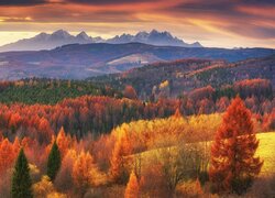 Widok na jesienne lasy i Góry Lewockie w Słowacji