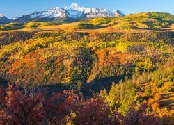 Widok na jesienne lasy w Telluride i ośnieżone góry San Juan Mountains