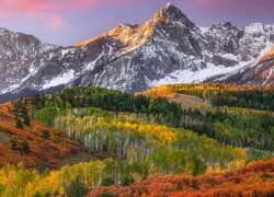 Widok na jesienny las i górę Mount Sneffels w Kolorado