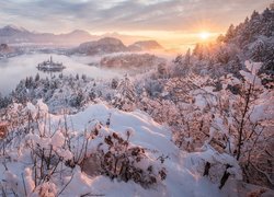 Zima, Śnieg, Góry, Słowenia, Jezioro Bled, Wysepka, Ośnieżone, Drzewa, Krzewy, Promienie słońca