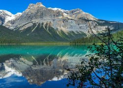 Góry, Jezioro, Emerald Lake, Drzewa, Odbicie, Kanada, Park Narodowy Yoho