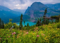 Park Narodowy Glacier, Montana, Stany Zjednoczone, Drzewa, Góry, Jezioro, Grinnell Lake, Łąka, Rośliny, Chmury