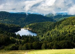 Widok na jezioro i góry porośnięte drzewami