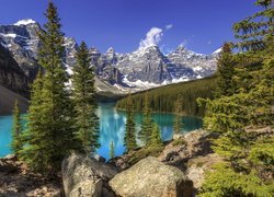 Park Narodowy Banff, Jezioro Moraine, Las, Drzewa, Góry, Alberta, Kanada