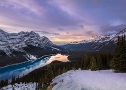 Kanada, Park Narodowy Banff, Jezioro Peyto Lake, Góry Canadian Rockies, Lasy, Zima