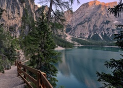 Włochy, Góry, Jezioro Pragser Wildsee, Dróżka, Barierka, Świerki