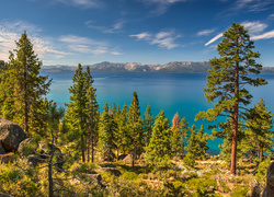 Stany Zjednoczone, Stan Newada, Jezioro Tahoe, Wzgórza, Drzewa