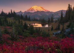 Park Narodowy Mount Rainier, Stratowulkan Mount Rainier, Góry, Drzewa, Jezioro Tipsoo, Stan Waszyngton, Stany Zjednoczone