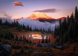 Stany Zjednoczone, Stan Waszyngton, Park Narodowy Mount Rainier, Góry, Stratowulkan Mount Rainier, Drzewa, Jezioro Tipsoo, Mgła