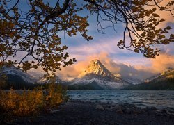 Stany Zjednoczone, Stan Montana, Park Narodowy Glacier, Góry Lewis Range, Szczyt Sinopah Mountain, Jezioro, Two Medicine Lake, Gałęzie, Drzewa