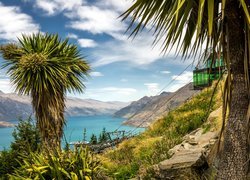 Jezioro Wakatipu, Drzewa, Punkt widokowy, Queenstown, Nowa Zelandia