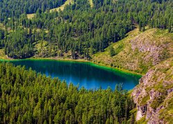 Widok na jezioro wśród gór i lasów