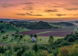 Drzewa, Kapliczka, Pola, Wzgórze