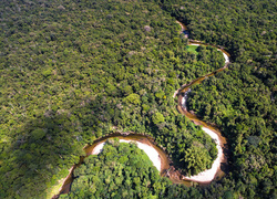 Widok na krętą rzekę w lesie z lotu ptaka w Brazylii