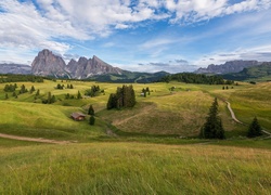 Włochy, Dolomity, Góry, Dolina Val Gardena, Łąki, Domy