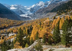 Jesień, Góry, Skały, Żółte, Drzewa, Lodowiec Morteratschgletscher, Kanton Gryzonia, Szwajcaria