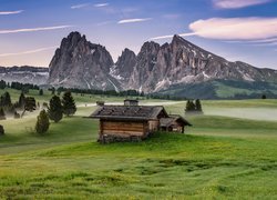 Góry, Masyw Langkofel Group, Sassolungo, Dolomity, Mgła, Drewniane, Domy, Drzewa, Trawa, Kwiaty, Włochy