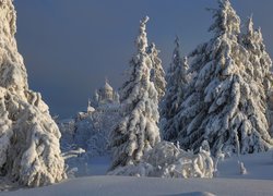 Zima, Śnieg, Drzewa, Cerkiew, Białogórski Monaster św Mikołaja, Biała Góra, Obwód permski, Rosja