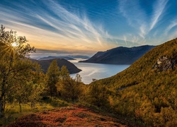 Norwegia, Burfjord, Wzgórza, Morze Norweskie, Wzgórza, Drzewa, Promienie słońca