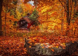 Stany zjednoczone, Stan Michigan, Wieś Lake Ann, Most Joshuas Crossing Covered Bridge, Jesień, Las, Drzewa, Liście, Kamień