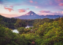 Nowa Zelandia, Wyspa Północna, Park Narodowy Egmont, Góra, Mount Taranaki, Lasy, Drzewa, Rzeka