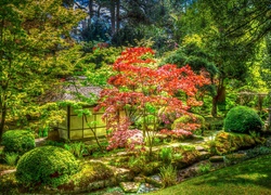 Widok na ogród japoński w parku Tatton Park w hrabstwie Cheshire w Anglii