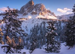 Zima, Góry, Dolomity, Góra Peitlerkofel, Sass de Putia, Drzewa, Włochy