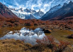 Góry, Andy, Fitz Roy, Jesień, Roślinność, Kałuża, Odbicie, Argentyna