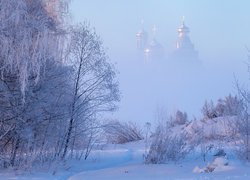 Widok na ośnieżone drzewa i cerkiew we mgle