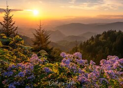 Widok na Park Narodowy Great Smoky Mountains w blasku zachodzącego słońca