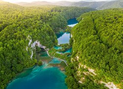 Lato, Park Narodowy Jezior Plitwickich, Jeziora, Zielone, Drzewa, Lasy, Chorwacja