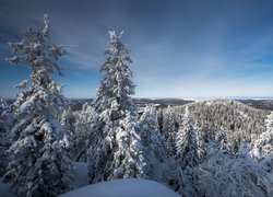 Widok na Park Narodowy Koli i jezioro Pielinen w oddali