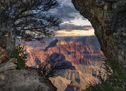 Kanion, Grand Canyon, Park Narodowy Wielkiego Kanionu, Skały, Drzewa, Arizona, Stany Zjednoczone