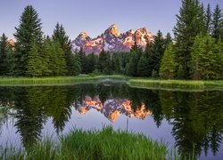 Park Narodowy Grand Teton, Góry, Teton Range, Las, Drzewa, Odbicie, Rzeka Snake River, Stan Wyoming, Stany Zjednoczone