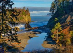 Widok na plażę Ruby Beach w Parku Narodowym Olympic