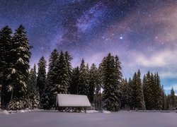 Słowenia, Równina Pokljuka, Zima, Las, Wieczór, Niebo, Gwiazdy, Drzewa