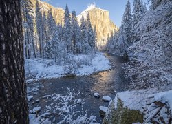 Zima, Śnieg, Góra, Half Dome, Drzewa, Rzeka Merced, Park Narodowy Yosemite, Kalifornia, Stany Zjednoczone
