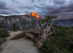 Widok na rozświetlony szczyt Half Dome pod ciemnymi chmurami