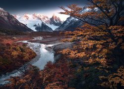 Góry, Andy, Szczyt, Cerro Torre, Park Narodowy Los Glaciares, Drzewa, Jesień, Rzeka, Patagonia, Argentyna